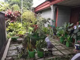 Dijual Rumah Asri Terawat Jalan Lebar Sayap Reog Turangga Dekat TSM