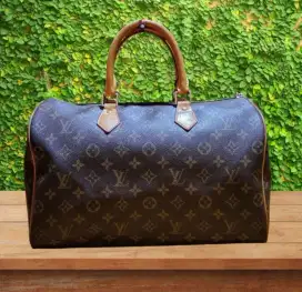 louis Vuitton Speedy