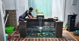 Kolam  Koi Dan Filter