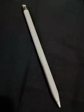 Apple Pencil Usb Type C Gen 1 (second) pemakaian pribadi