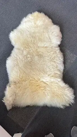 karpet bulu domba australia