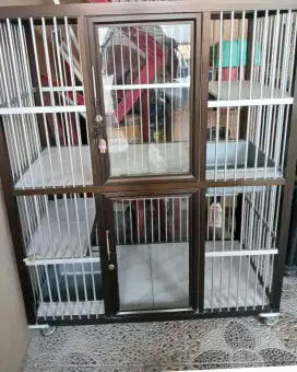 Kandang kucing bekas pakai pribadi