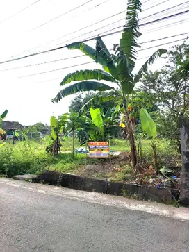 Tanah Pekarangan Strategis dekat Jalan Damai Palagan