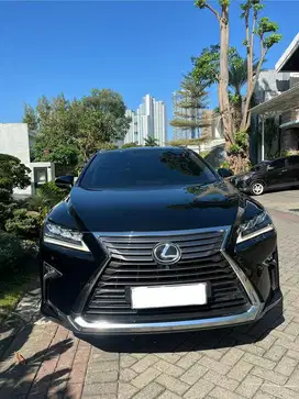 Lexus RX300 luxury 2019 Bensin