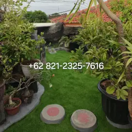 Rumput Sintetis Karpet Berkualitas