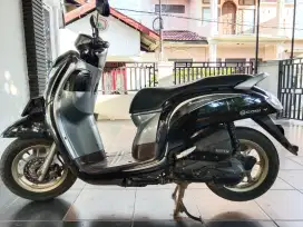 Honda scoopy thn 2019