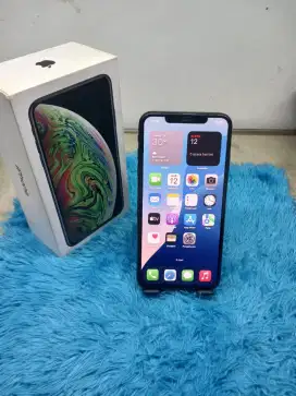 Iphone XS Max 256 GB inter