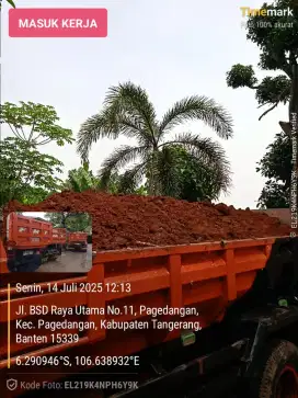 Jasa buang puing dan buang sampah