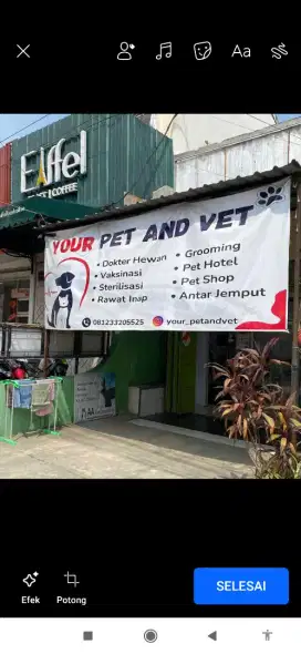 Take over petshop dan klinik hewan