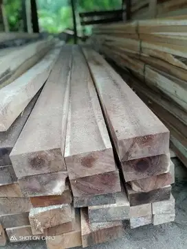 kayu proyek kaso balok papan