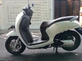 HONDA SCOOPY KEYLES KM 7200 TAHUN 2024 BEKAS RASA BARU KIRCON