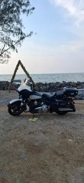 Electra Police Panda