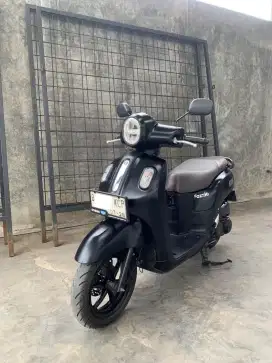 fazzio lux 2023