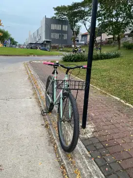 Commuter bike federal lady