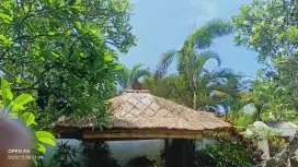 Melayani service atap Alang Alang rumah bambu pagar bambu dll
