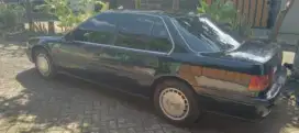 accord maestro PGMF1