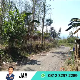 Dijual Tanah Luas Cocok untuk Cluster dekat Kampus Jember