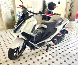 Alva cervo 2024 Plat H