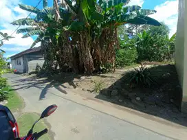 TANAH MURAH STRATEGIS DEKAT JL PURWOMARTANI KALASAN SLEMAN YOGYAKARTA