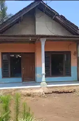 Rumah Kelurahan Kalipucang Kecamatan Tutur Kabupaten Pasuruan