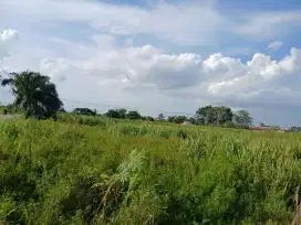Jual Tanah 4.9 Ha SHM