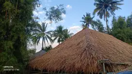 Melayani service bongkar pasang atap Alang Alang dan gazebo