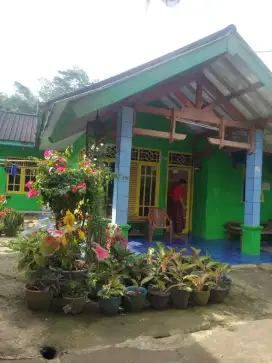 Rumah di jual cepat