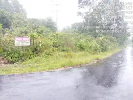 DiJUAL Tanah kebun