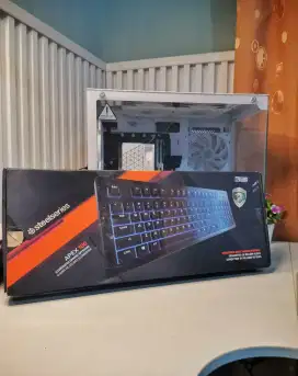 keyboard gaming steelseries apex 100