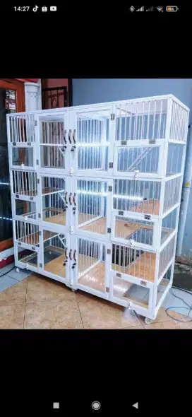 Kandang Kucing Aluminium 6 Pintu Preloved BSH Scottish Persia Himalaya