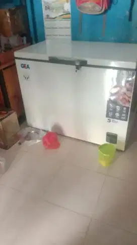 Freezer ukuran 300 L