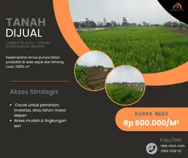 SAWAH DIJUAL – LOKASI STRATEGIS DI BOGOR!