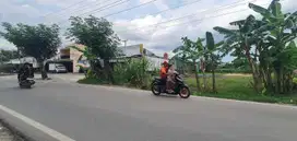 Tanah pinggir jalan taqwa mata merah
