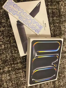 Ipad pro 11 5TH 256GB