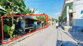 Tanah wilayah suci