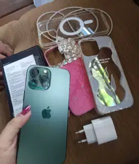 Iphone 13 Promax 256GB Alpine Green