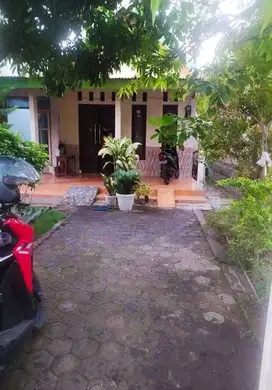 Rumah Kelurahan Bicak Kecamatan Trowulan Kabupaten Mojokerto