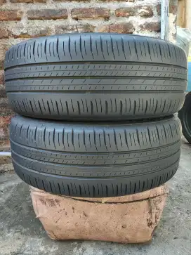 Ban Dunlop Enasave 205/55 R17 (2pc)