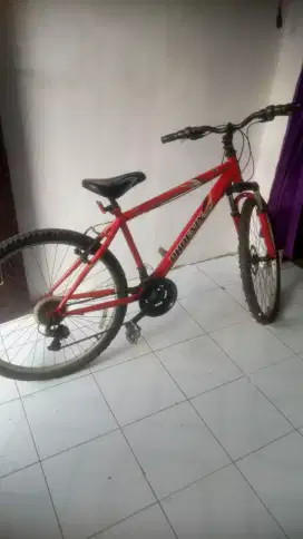 Sepeda MTB  phoenix go sports