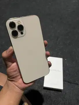 iPhone 12 Pro max 128 GB