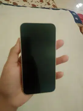 Iphone 13 / 128gb