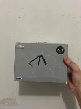 GoPro Fetch Original