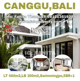 Dijual vila mewah di Canggu Bali LT 480m2 LB 300m2 swimmingpool 5BR