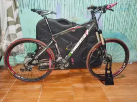 Sepeda carbon mulus