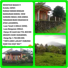 Kebun buah dgn view indah free villa 30 mnt dr tol Parungkuda-Sukabumi