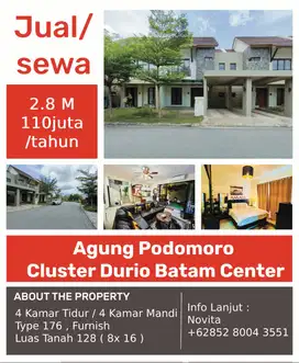Rumah siap Huni Agung Podomoro Cluster Durio Batam Center.