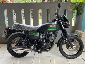 Kawasaki w175 cafe
