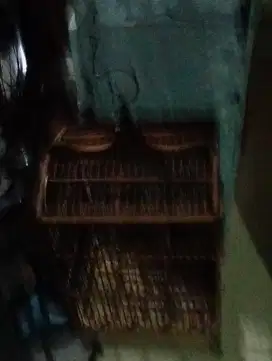 Di jual sangkar burung