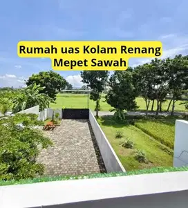 Rumah Luas Kolam Renang View Sawah Jalan Godean