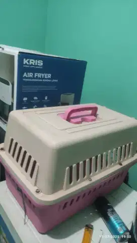 Pet cargo kucing